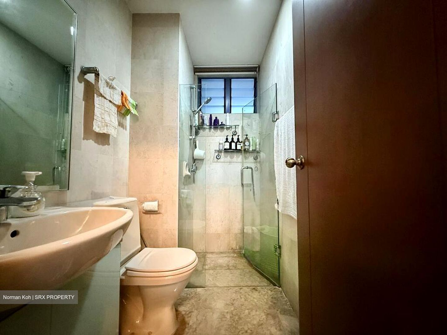 Sanctuary Green (D15), Condominium #519393961